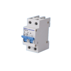 10 Amp Double Pole MCB